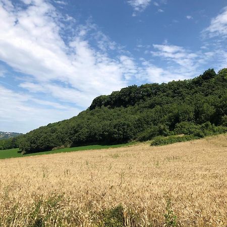 Agriturismo L'Esinante Cupramontana ภายนอก รูปภาพ