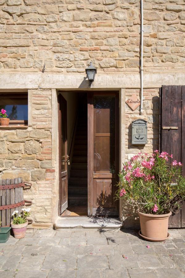 Agriturismo L'Esinante Cupramontana ภายนอก รูปภาพ