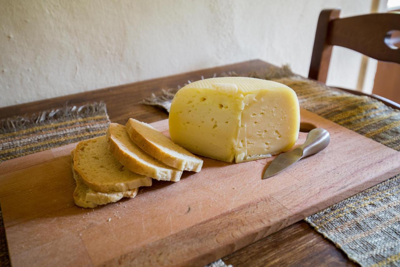 Agriturismo L'Esinante Cupramontana ภายนอก รูปภาพ